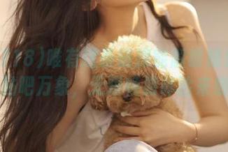 唯有这条链接能解锁娱乐718的贴吧万象，无限畅游体验来袭！