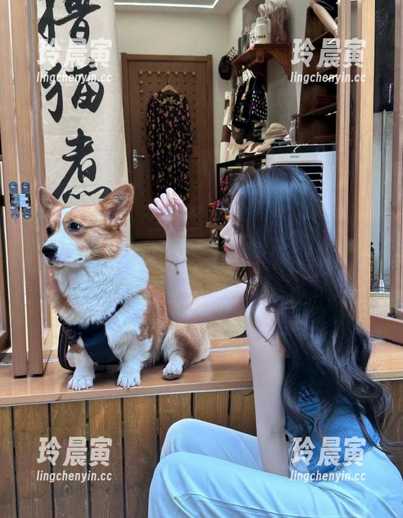 看完网曝吃瓜的八卦后，我的收藏夹都快变成‘明星趣事集’了！