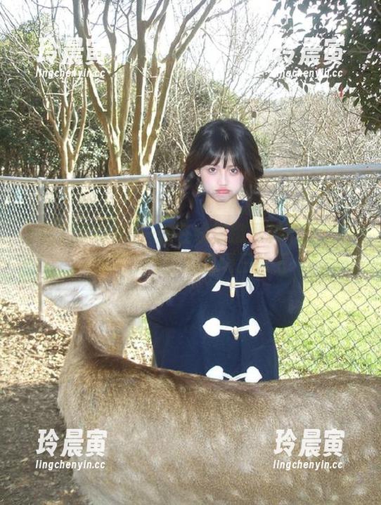 黑料不打烊 一键在线播撒黑料不打烊导航栏,今日瓜田隔三岔五