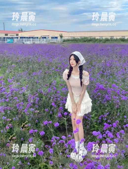 黑料老司机 黑料老司机最新更新,简直是吃瓜不手软的节奏!